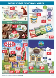 Gazetka promocyjna Carrefour - Gazetka Wielki wybór cenionych marek - Gazetka - ważna od 31.07 do 31.07.2021 - strona 13 - produkty: Ser topiony, Cheddar, Top, Sok, Ser, Mleko bez laktozy, Maślanka, Jogurt, Kask, Serek homogenizowany, Serek, Sokół, Bazyl, Serek naturalny, Mleko, Fa