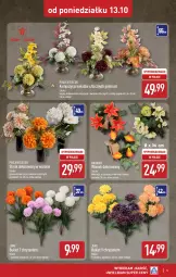 Gazetka promocyjna Aldi - Artykuły przemysłowe i tekstylia - Gazetka - ważna od 18.10 do 18.10.2025 - strona 5 - produkty: Sok, Wazon, Bukiet