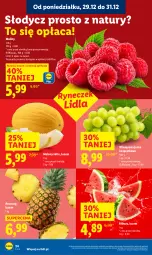 Gazetka promocyjna Lidl - GAZETKA - Gazetka - ważna od 31.12 do 31.12.2025 - strona 24 - produkty: Ananas, Maliny, Winogrona, Arbuz, Wino, Melon