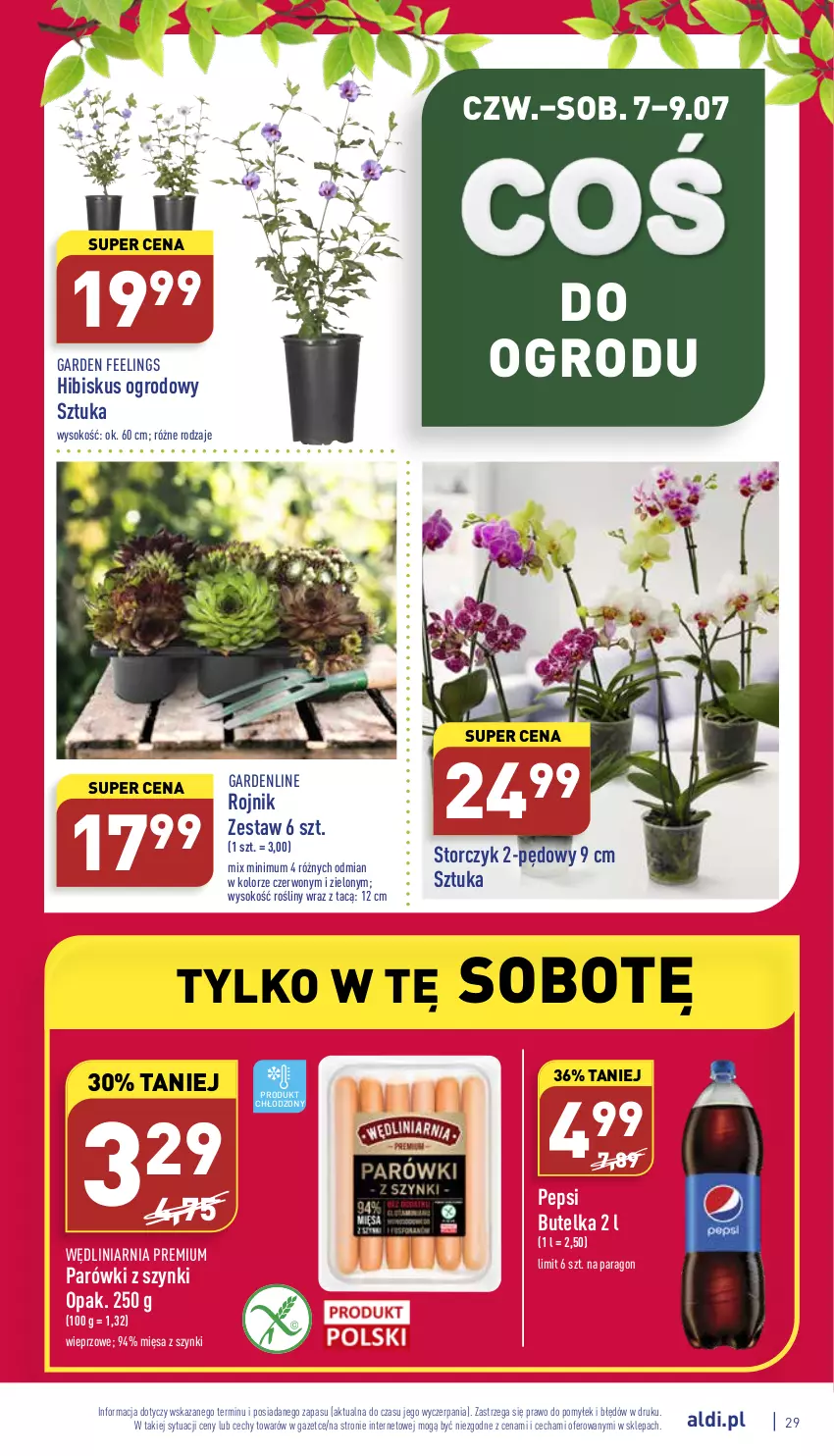 Gazetka promocyjna Aldi - Katalog spożywczy - ważna 04.07 do 09.07.2022 - strona 29 - produkty: Hibiskus, Parówki, Parówki z szynki, Pepsi, Sok, Storczyk