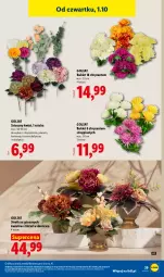 Gazetka promocyjna Lidl - Gazetka ważna od 28.09. do 03.10. - Gazetka - ważna od 03.10 do 03.10.2026 - strona 47 - produkty: Piwo, Gra, Chryzantema, Piast, Bukiet, Sztuczny kwiat, Grafika
