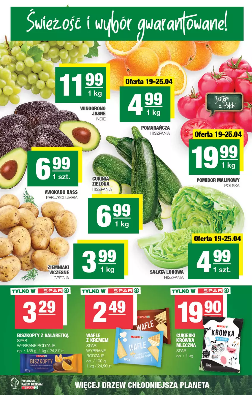 Gazetka promocyjna Spar - Spar - ważna 19.04 do 30.04.2023 - strona 2 - produkty: Biszkopty, Gala, Pomidor malinowy, Sałat, Sałata lodowa, Wino