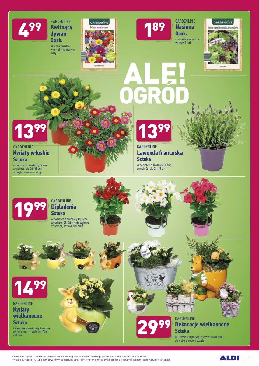 Gazetka promocyjna Aldi - ALE! CENA w ALDI - ważna 22.03 do 27.03.2021 - strona 31 - produkty: Dywan, Kalanchoe, Sok