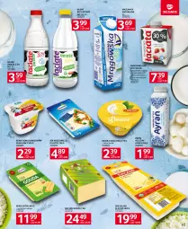 Gazetka promocyjna Selgros - Oferta spożywcza - Gazetka - ważna od 26.07 do 26.07.2023 - strona 11 - produkty: Mozzarella, Ser, Mleko bez laktozy, Salami, Maślanka, Serek homogenizowany, Serek, Napój mleczny, Deser, Ser salami, Gouda, Napój, Mleko