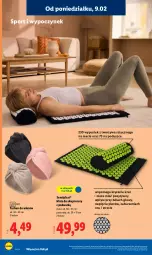 Gazetka promocyjna Lidl - GAZETKA - Gazetka - ważna od 14.02 do 14.02.2026 - strona 16 - produkty: Por, Stek, Sport, Poduszka