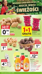 Gazetka promocyjna Intermarche - Gazetka Intermarche - Gazetka - ważna od 28.01 do 28.01.2026 - strona 12 - produkty: Cebula, Sok, Gra, Ananas, Owoce, Napój, Rzodkiewka