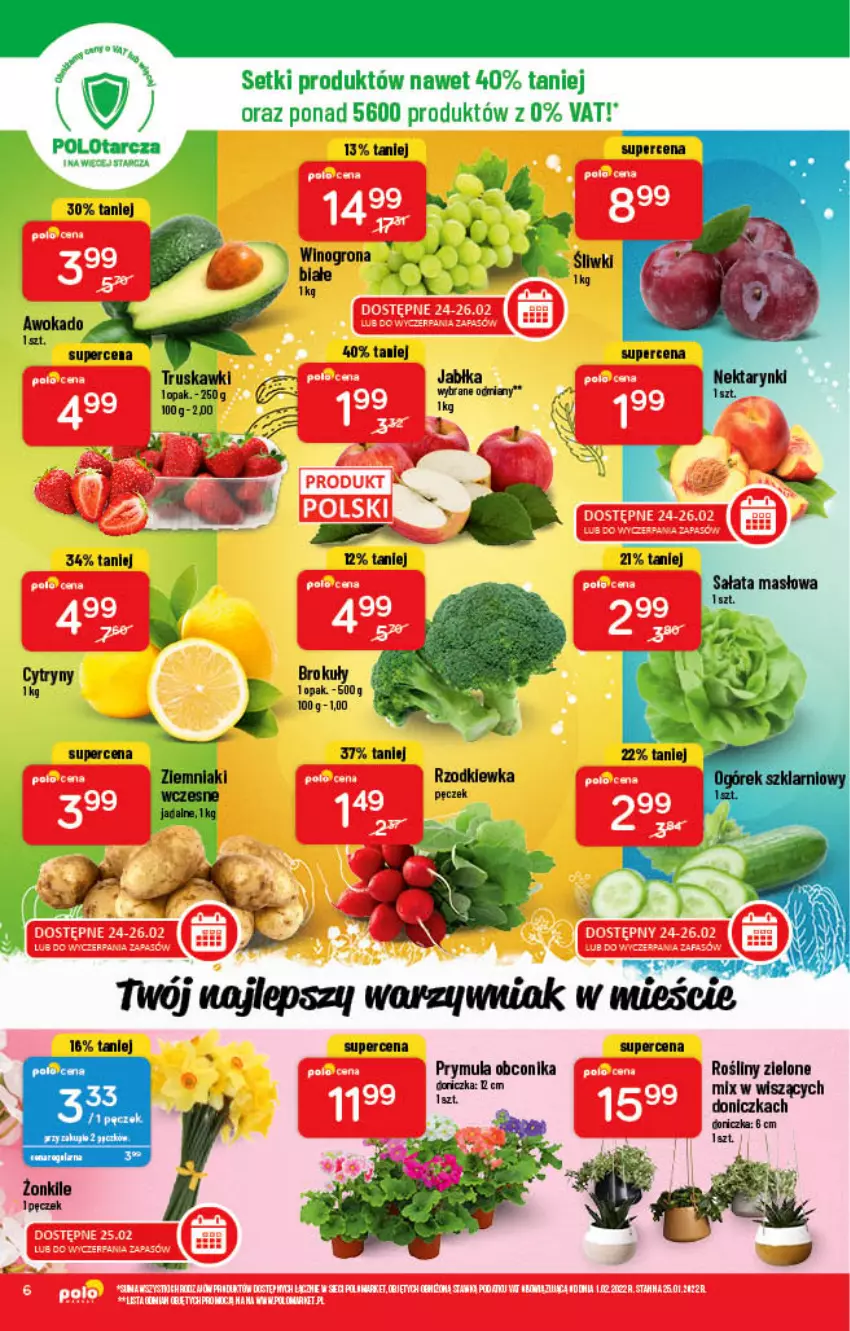 Gazetka promocyjna PoloMarket - Gazetka pomocyjna - ważna 23.02 do 01.03.2022 - strona 6 - produkty: Prymula, Rzodkiewka, Truskawki