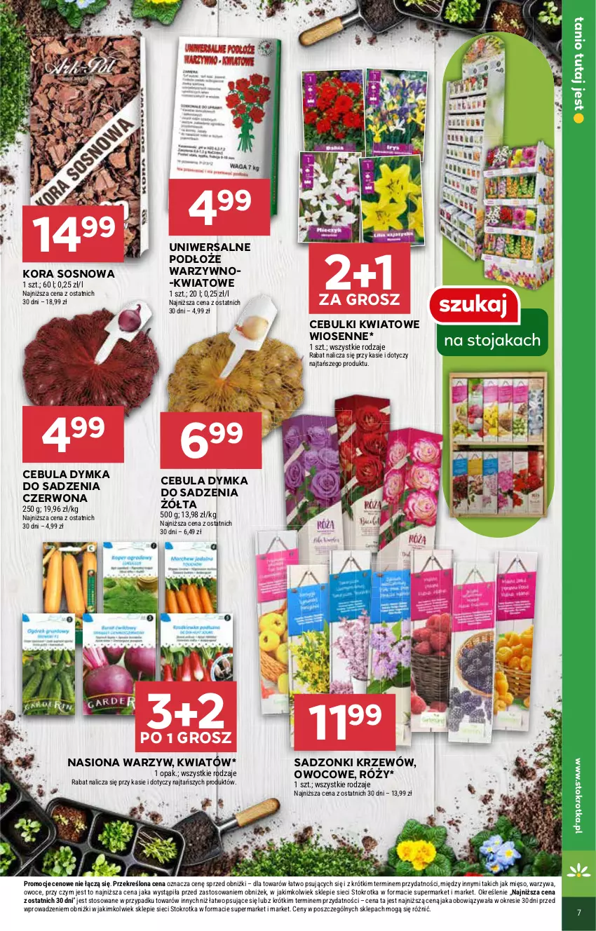 Gazetka promocyjna Stokrotka - Supermarket - ważna 13.03 do 19.03.2025 - strona 7 - produkty: Cebula, Mięso, Owoce, Sos, Warzywa