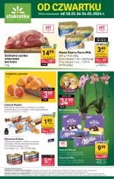 Gazetka promocyjna Stokrotka - Supermarket - Gazetka - ważna od 24.01 do 24.01.2024 - strona 1 - produkty: Krakus, Warzywa, Ser, Szynka wieprzowa, Cukier, Szynka, Storczyk, Mleczko, Farm Milk, Czekolada, Rurki, Owoce, Cukierki, Masło, Mięso, Milka, Grejpfrut, Fa