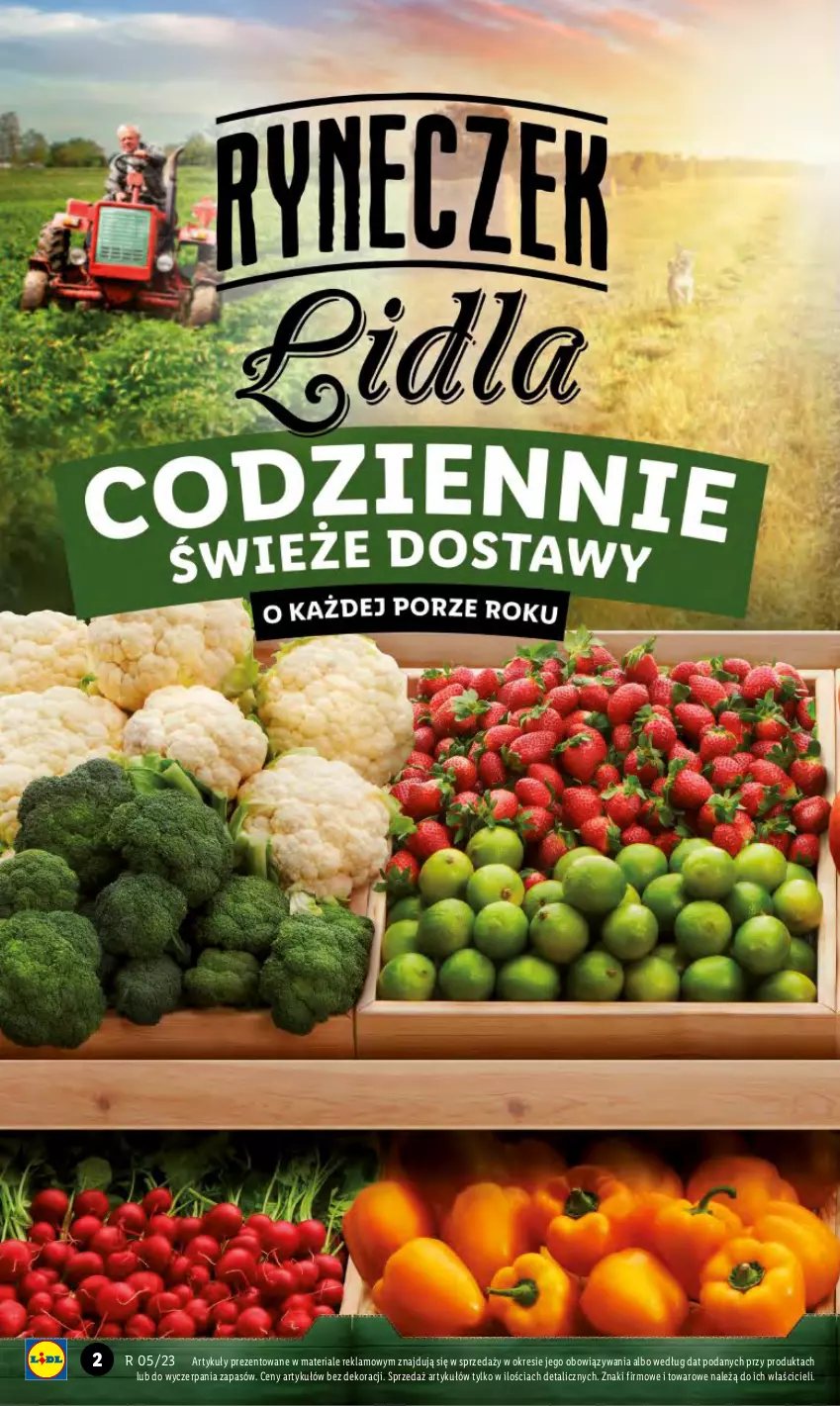 Gazetka promocyjna Lidl - GAZETKA - ważna 30.01 do 01.02.2023 - strona 2