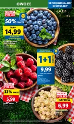 Gazetka promocyjna Lidl - GAZETKA - Gazetka - ważna od 23.07 do 23.07.2025 - strona 17 - produkty: Por, Gra, Jeżyny, Maliny, Owoce