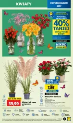 Gazetka promocyjna Lidl - GAZETKA - Gazetka - ważna od 23.07 do 23.07.2025 - strona 51 - produkty: Sok, Por, Kwiaty cięte, Cień, O nas, Bukiet, Miska