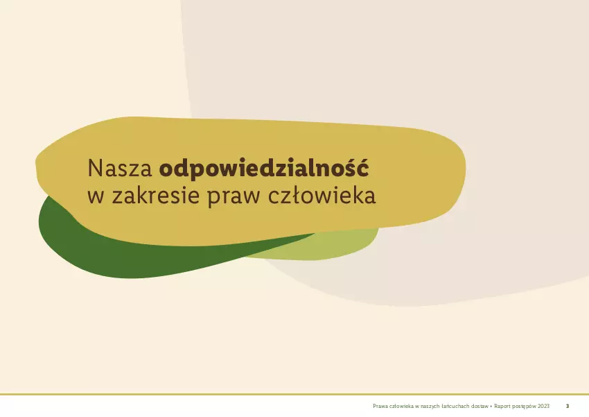 Gazetka promocyjna Lidl - Polityka zakupowa - Prawa człowieka - ważna 25.03.2024 do 25.03.2030 - strona 4 - produkty: Por