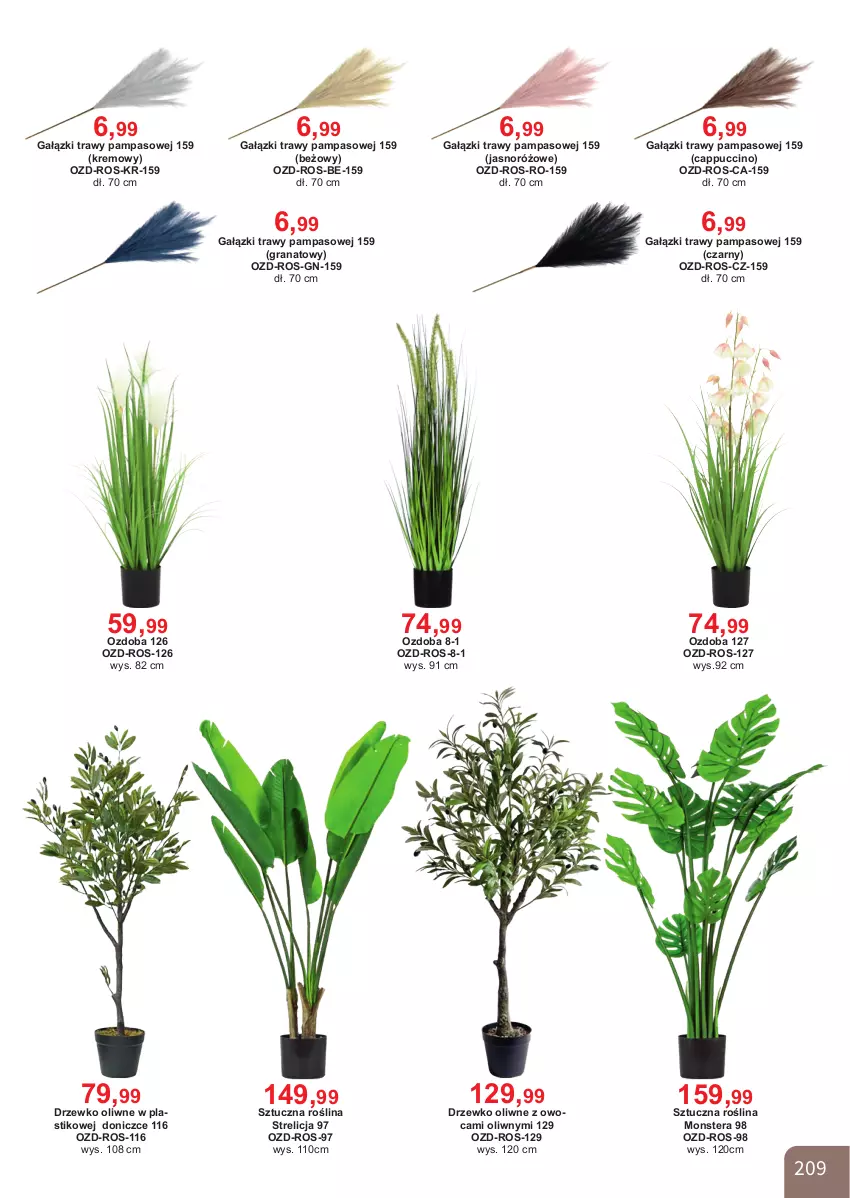 Gazetka promocyjna Bodzio - ważna 01.04 do 30.06.2026 - strona 209 - produkty: Cappuccino, Gra, Granat, Ozdoba, Tera