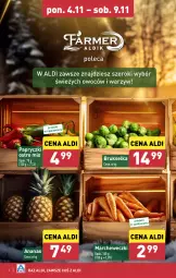 Gazetka promocyjna Aldi - Farmer ALDIK poleca świeże owoce i warzywa - Gazetka - ważna od 09.11 do 09.11.2024 - strona 6 - produkty: Brukselka, Ananas