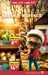 Gazetka promocyjna Aldi - Farmer ALDIK poleca świeże owoce i warzywa - Gazetka - ważna od 09.11 do 09.11.2024 - strona 7 - produkty: Ziemniaki, Gruszki