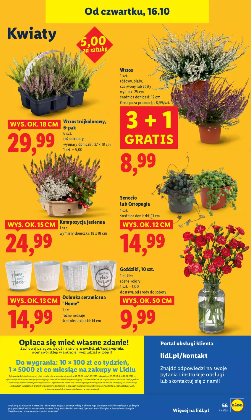 Gazetka promocyjna Lidl - GAZETKA - ważna 16.10 do 18.10.2025 - strona 60 - produkty: Bukiet, Gra, Laur, Mola, Osłonka, Por, Portal