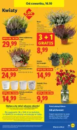 Gazetka promocyjna Lidl - GAZETKA - Gazetka - ważna od 18.10 do 18.10.2025 - strona 60 - produkty: Por, Gra, Portal, Laur, Mola, Bukiet, Osłonka