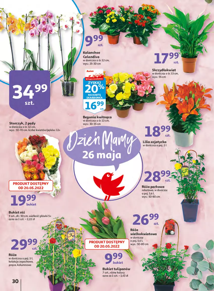 Gazetka promocyjna Auchan - Udane grillowanie jest w cenie Hipermarkety - ważna 19.05 do 28.05.2022 - strona 30 - produkty: Bukiet, Kalanchoe, Róża, Storczyk, Tulipan