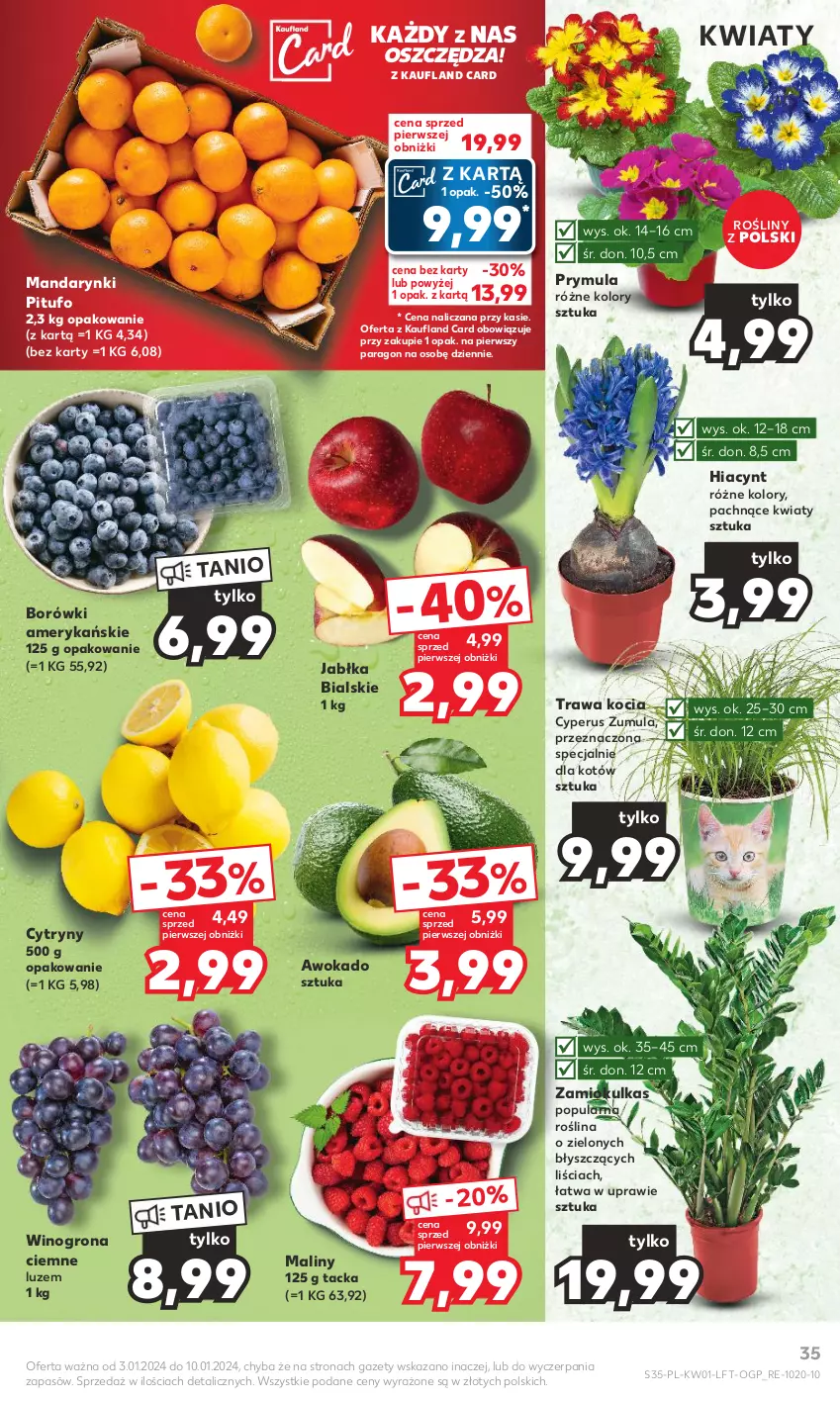 Gazetka promocyjna Kaufland - Gazetka tygodnia - ważna 03.01 do 10.01.2024 - strona 35 - produkty: Cytryny, Hiacynt, Jabłka, Koc, Maliny, Mandarynki, Prymula, Wino, Winogrona