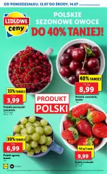 Gazetka promocyjna Lidl - GAZETKA - Gazetka - ważna od 14.07 do 14.07.2021 - strona 10 - produkty: Por, Truskawki, Porzeczki czerwone, Owoce, Gres