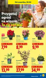 Gazetka promocyjna Lidl - Gazetka ważna od 29.04 do 2.05 - Gazetka - ważna od 02.05 do 02.05.2026 - strona 97 - produkty: Truskawki, Ogród