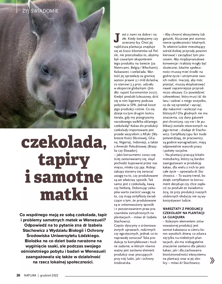 Gazetka promocyjna Drogerie Natura - Gazetka Drogerie Natura - ważna 01.12.2022 do 02.01.2023 - strona 26 - produkty: Czekolada, Fa, Gin, Gra, Gry, Jaja, JBL, Kakao, Karmi, Kosz, LG, Mięso, Mleko, Monitor, Mus, Olej, Por, Sok, Sport