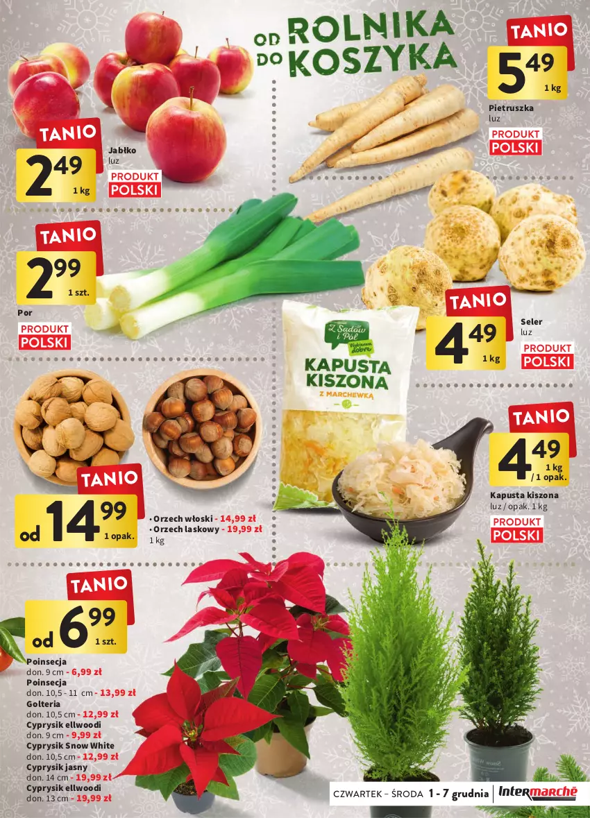 Gazetka promocyjna Intermarche - Gazetka Intermarche - ważna 01.12 do 07.12.2022 - strona 17 - produkty: Cyprysik, Pietruszka, Poinsecja, Por