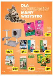 Gazetka promocyjna Carrefour - Gazetka Carrefour Zyskoteka - Gazetka - ważna od 22.10 do 22.10.2022 - strona 42 - produkty: Gry, Vitakraft, Tropical, Pokarm dla gryzoni, Tatra, Przysmaki, Drapak, Fa