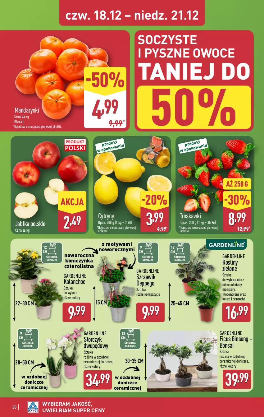 Gazetka promocyjna Aldi - Pełna oferta - ważna 15.12 do 21.12.2025 - strona 38 - produkty: Cytryny, Dron, Gin, Jabłka, Kalanchoe, Mandarynki, Owoce, Storczyk, Truskawki
