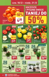 Gazetka promocyjna Aldi - Pełna oferta - Gazetka - ważna od 21.12 do 21.12.2025 - strona 38 - produkty: Mandarynki, Gin, Truskawki, Cytryny, Kalanchoe, Dron, Storczyk, Owoce, Jabłka