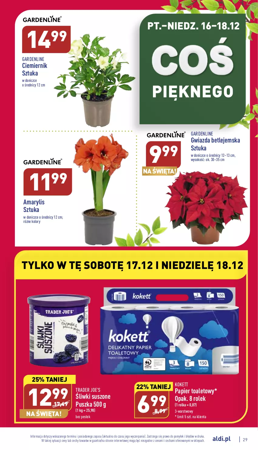 Gazetka promocyjna Aldi - Pełny katalog - ważna 12.12 do 18.12.2022 - strona 29 - produkty: Amarylis, Gwiazda, Papier, Papier toaletowy, Sok, Stek