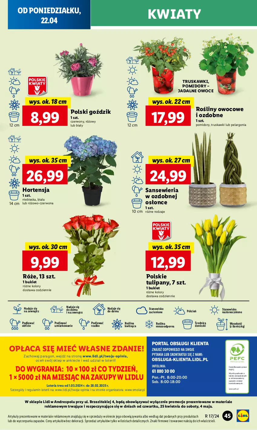 Gazetka promocyjna Lidl - GAZETKA - ważna 22.04 do 24.04.2024 - strona 54 - produkty: Bukiet, Cień, Dres, Gra, Mola, O nas, Owoce, Pomidory, Por, Sok, Truskawki, Tulipan