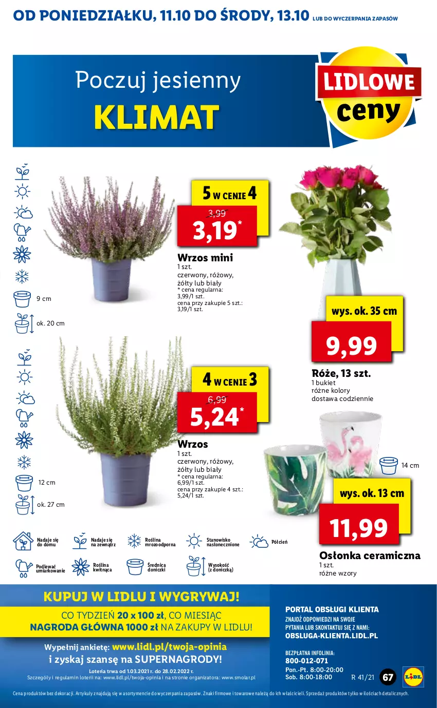 Gazetka promocyjna Lidl - GAZETKA - ważna 11.10 do 13.10.2021 - strona 67 - produkty: Bukiet, Cień, Gry, Mola, O nas, Osłonka, Por, Sok