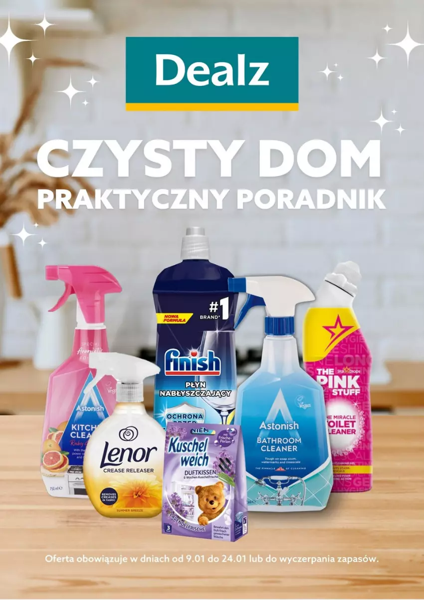 Gazetka promocyjna Dealz - CZYSTY DOM Z DEALZPRAKTYCZNY PORADNIK - ważna 09.01 do 24.01.2023 - strona 1