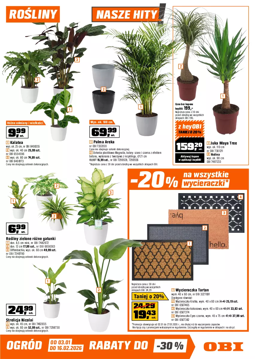 Gazetka promocyjna Obi - Gazetka OBI - ważna 02.01 do 27.01.2026 - strona 5 - produkty: Chia, Fa, Gładź polimerowa, Grunt, Kokos, NBA, Ogród, Osłonka, Palma, Płyta, Płyta gipsowa, Pur, Rama, Tarta, Tran, Wycieraczka