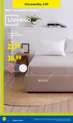 Gazetka promocyjna Lidl - Katalog ważny od 29.06 - Gazetka - ważna od 04.07 do 04.07.2026 - strona 32 - produkty: Ivar, Prześcieradło