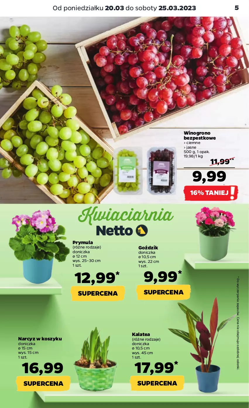 Gazetka promocyjna Netto - Artykuły spożywcze - ważna 20.03 do 25.03.2023 - strona 5 - produkty: Kosz, Narcyz, Prymula, Wino