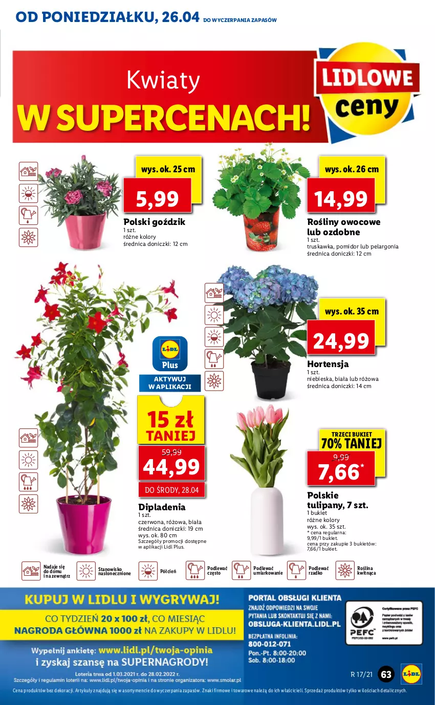 Gazetka promocyjna Lidl - GAZETKA - ważna 26.04 do 28.04.2021 - strona 63 - produkty: Bukiet, Cień, O nas, Tulipan