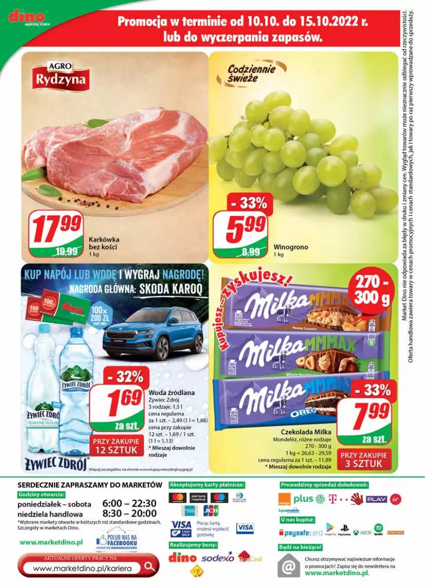 Gazetka promocyjna Dino - Gazetka - ważna 12.10 do 18.10.2022 - strona 24 - produkty: Czekolada, Fa, Gra, JBL, LANA, Milka, Ser, Tera, Woda