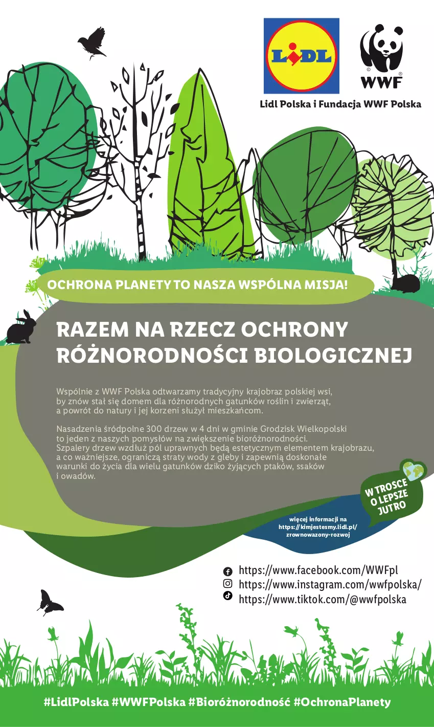 Gazetka promocyjna Lidl - GAZETKA - ważna 13.11 do 18.11.2023 - strona 59 - produkty: Fa, Gra, O nas, Obraz, PSB, Wazon