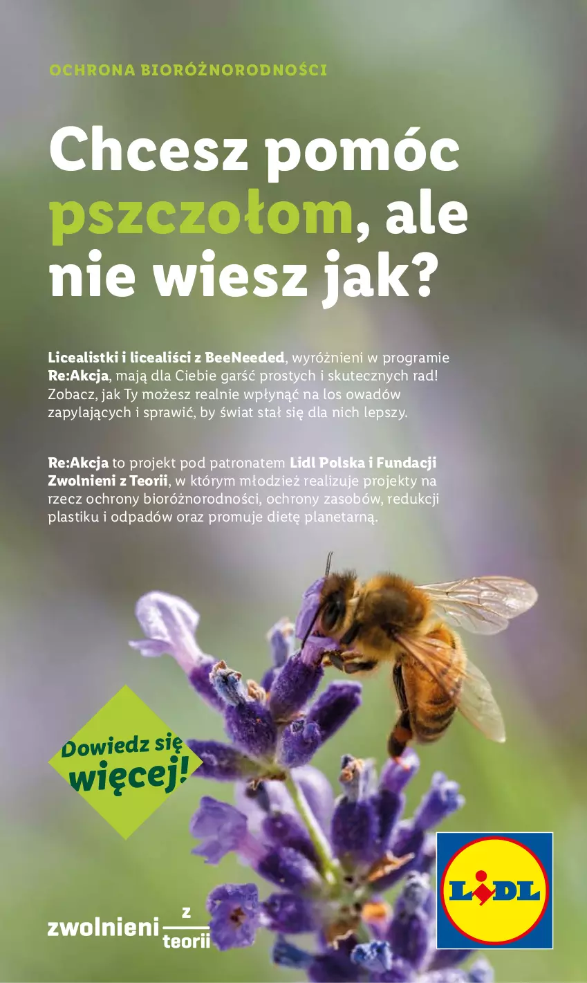 Gazetka promocyjna Lidl - GAZETKA - ważna 07.07 do 12.07.2025 - strona 43 - produkty: Gra
