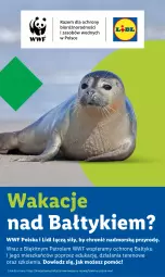 Gazetka promocyjna Lidl - GAZETKA - Gazetka - ważna od 12.07 do 12.07.2025 - strona 44 - produkty: Wazon