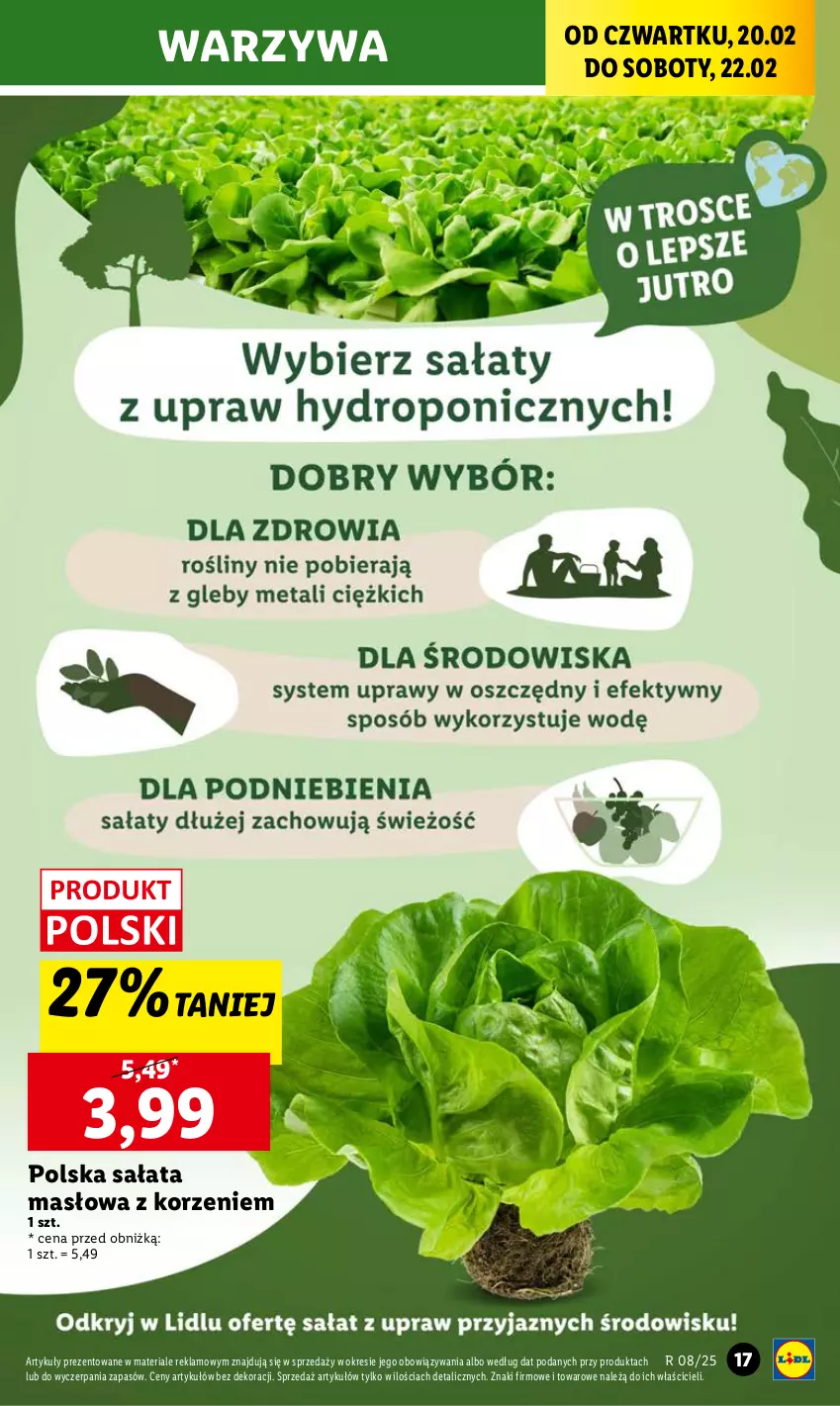 Gazetka promocyjna Lidl - GAZETKA - ważna 20.02 do 22.02.2025 - strona 19 - produkty: Masło, Sałat, Sałata masłowa, Warzywa