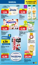 Gazetka promocyjna Lidl - GAZETKA - Gazetka - ważna od 31.08 do 31.08.2024 - strona 29 - produkty: Maasdam, Ser, Jogurt, Ananas, Vegangurt, Tera, Serek homogenizowany, Serek, Pilos, Deser, Philadelphia, Monte, Szpinak