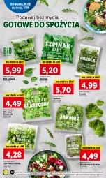 Gazetka promocyjna Lidl - GAZETKA - Gazetka - ważna od 17.08 do 17.08.2022 - strona 24 - produkty: Rukola, Sałat, Jarmuż, Szpinak