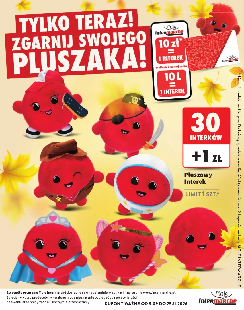 Gazetka promocyjna Intermarche - Gazetka Intermarche - ważna 03.09 do 25.11.2026 - strona 33 - produkty: Gra