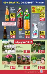 Gazetka promocyjna Aldi - Pełna oferta - Gazetka - ważna od 19.10 do 19.10.2024 - strona 25 - produkty: Piwa, Piwo, Sok, Gra, Clin, Gwiazda, Chusteczki kosmetyczne, Chusteczki, Tymbark, Napój niegazowany, Karmi, Napój, Sukulent, Fa