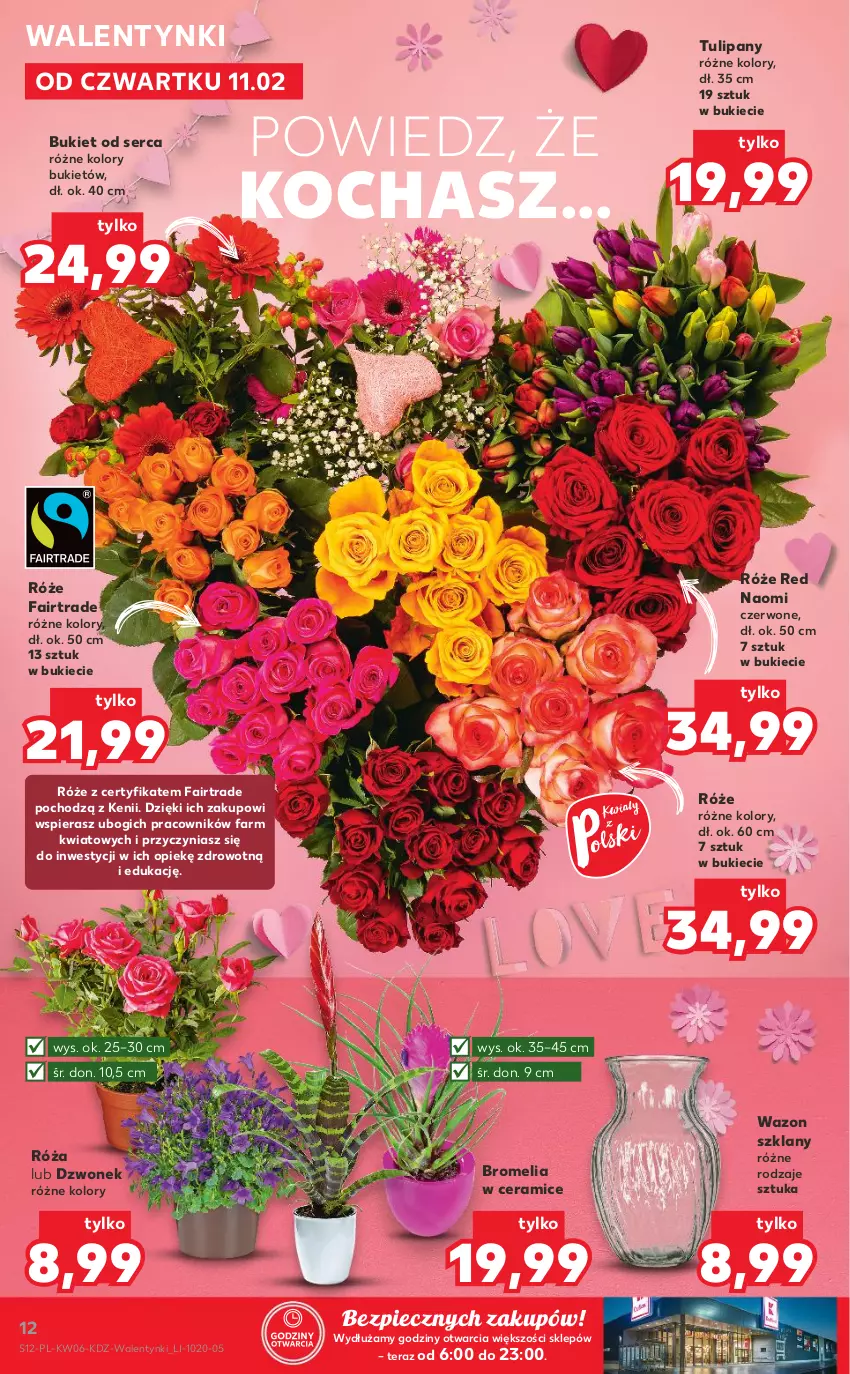 Gazetka promocyjna Kaufland - OFERTA TYGODNIA - ważna 11.02 do 17.02.2021 - strona 12 - produkty: Bromelia, Bukiet, Dzwonek, Fa, Koc, Piec, Róża, Ser, Tera, Tulipan, Wazon