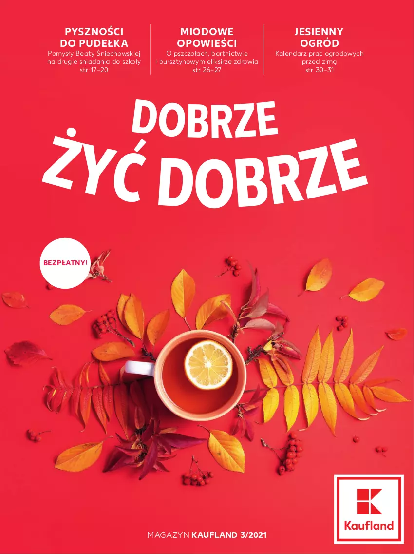 Gazetka promocyjna Kaufland - Magazyn 